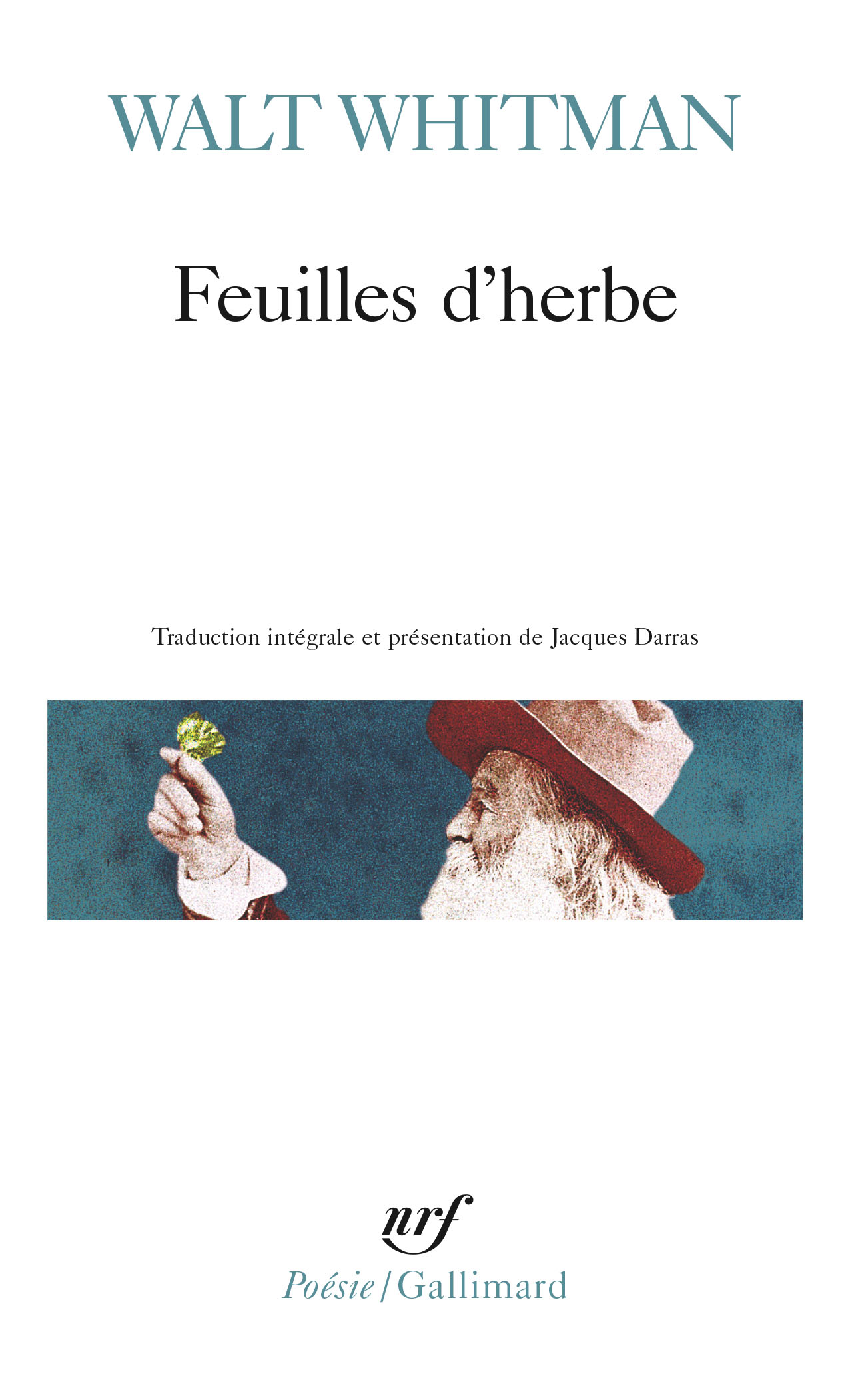 Feuilles d