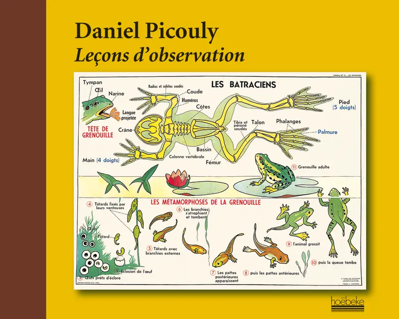 Leçons d'observation - Daniel Picouly