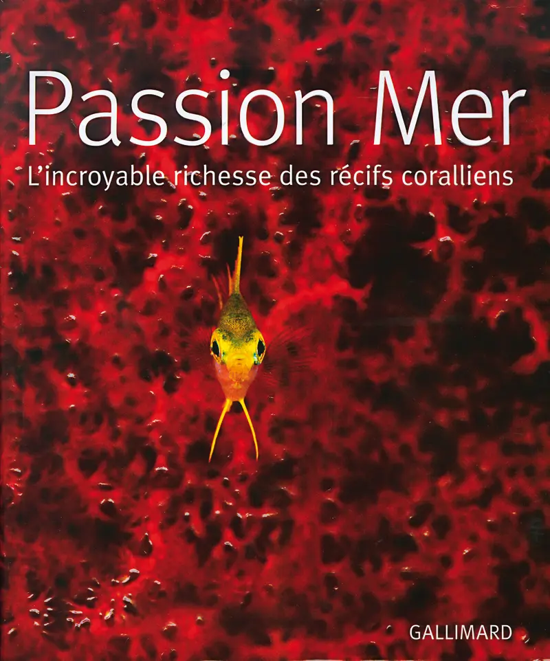 Passion Mer - Collectif