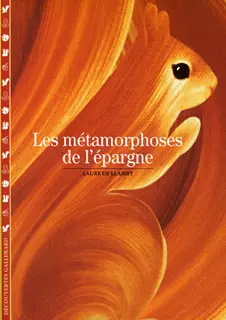 Les Métamorphoses de l'épargne - Laure de Llamby