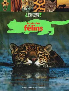 La vie des félins - Collectif