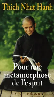Pour une métamorphose de l'esprit - Thich Nhat Hanh