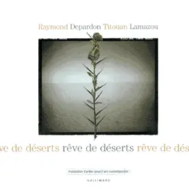 Rêve de déserts - Titouan Lamazou - Raymond Depardon