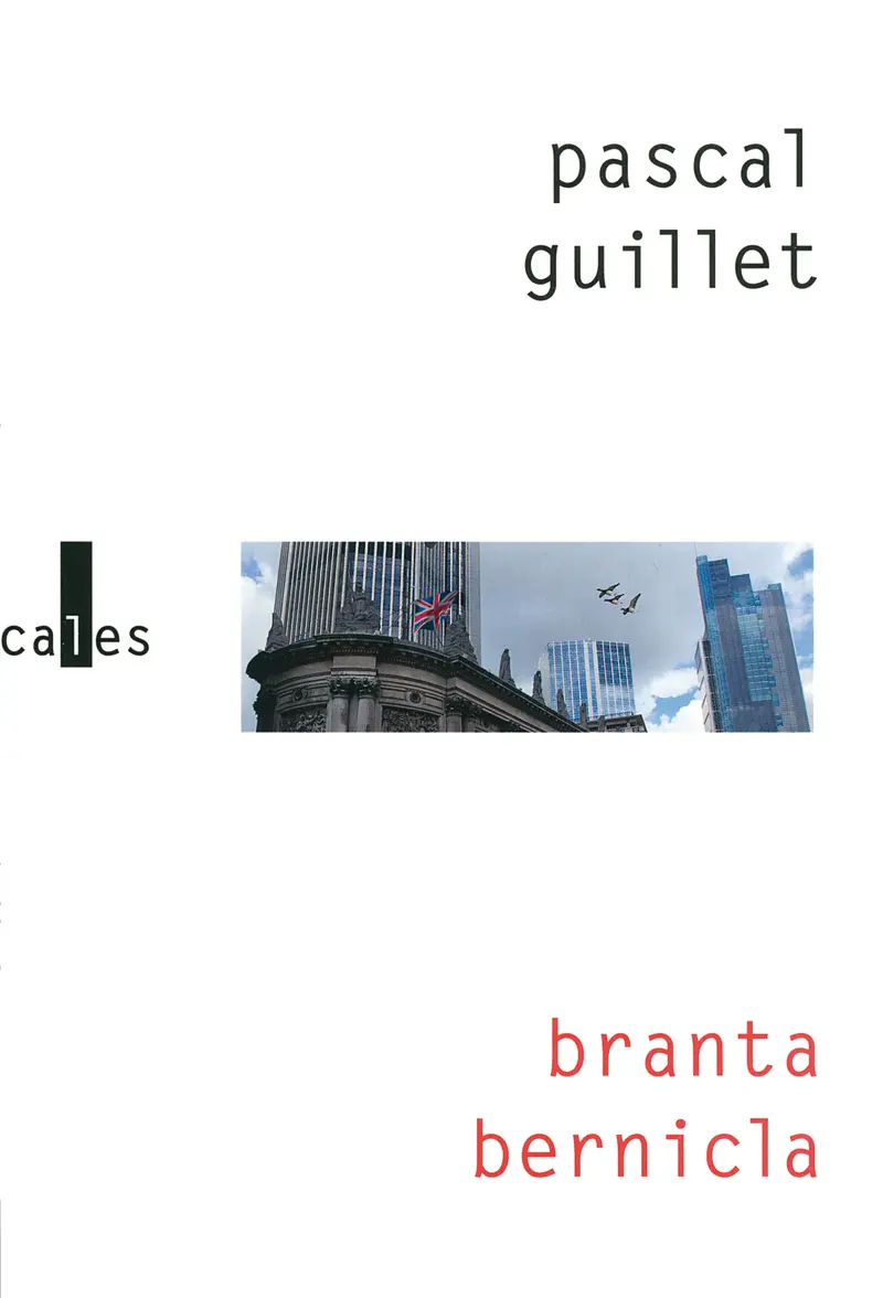 Branta Bernicla - Pascal Guillet