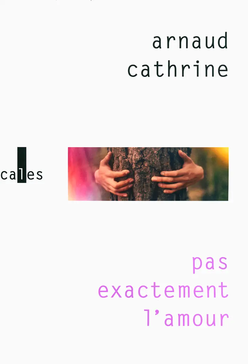 Pas exactement l'amour - Arnaud Cathrine