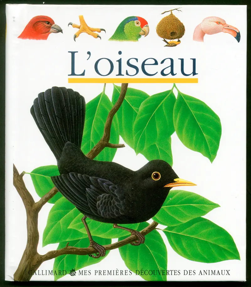 L'oiseau - Collectif