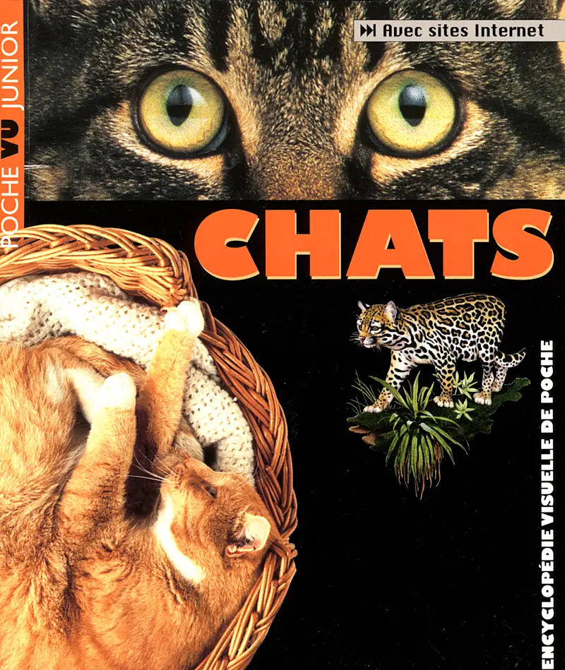 Chats - David Alderton
