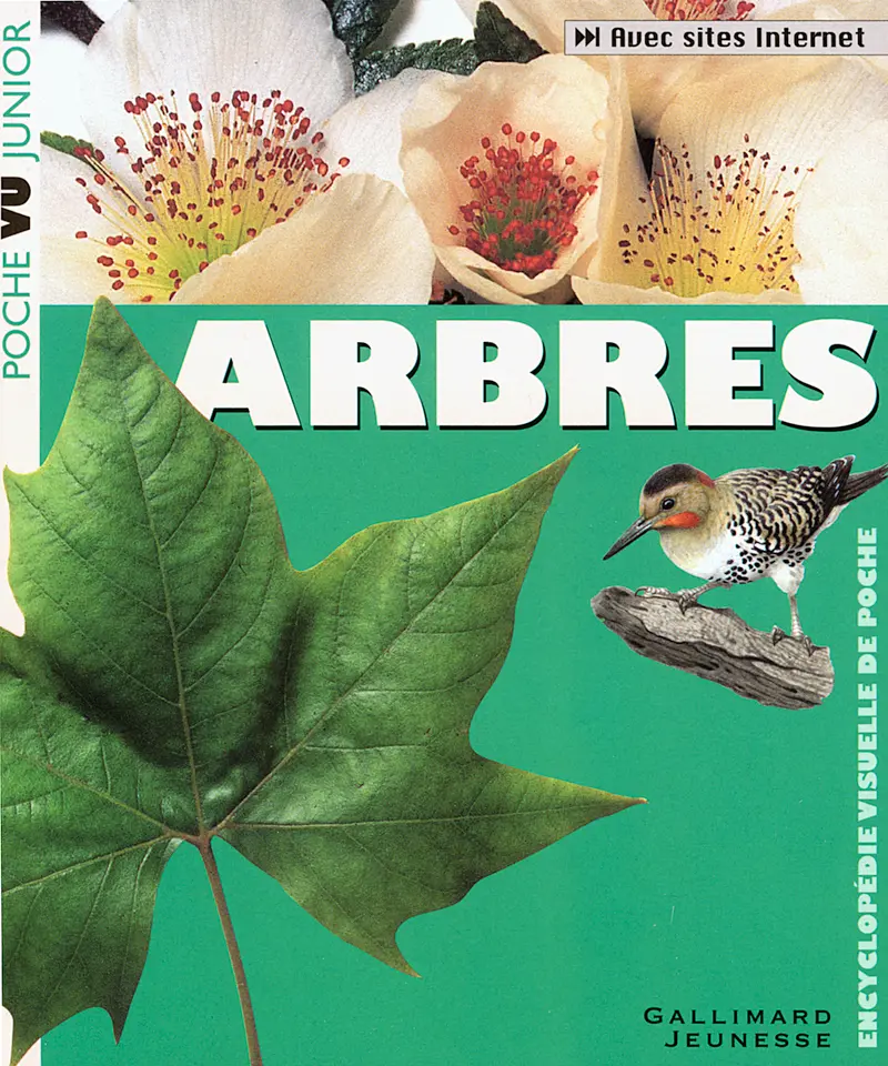 Arbres - Theresa Greenaway