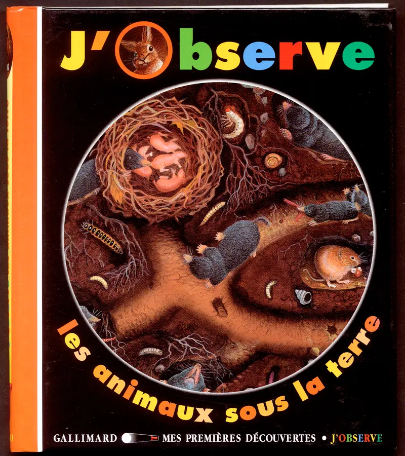 J'observe les animaux sous la terre - Claude Delafosse - Daniel Moignot - Daniel Moignot