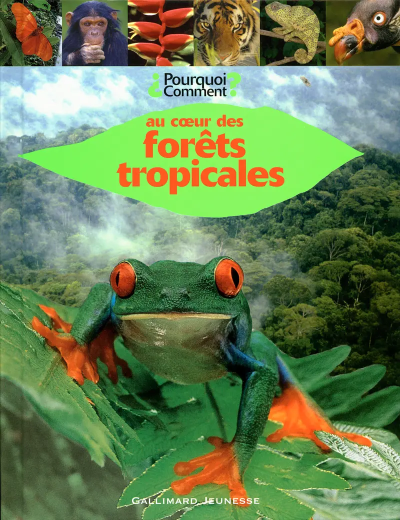 Au cœur des forêts tropicales - Collectif
