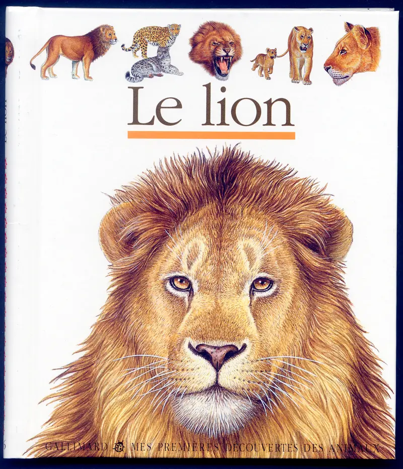 Le lion - Collectif