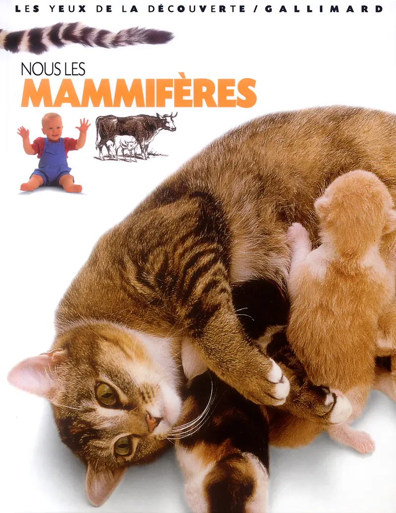 Nous, les mammifères - Steve Parker