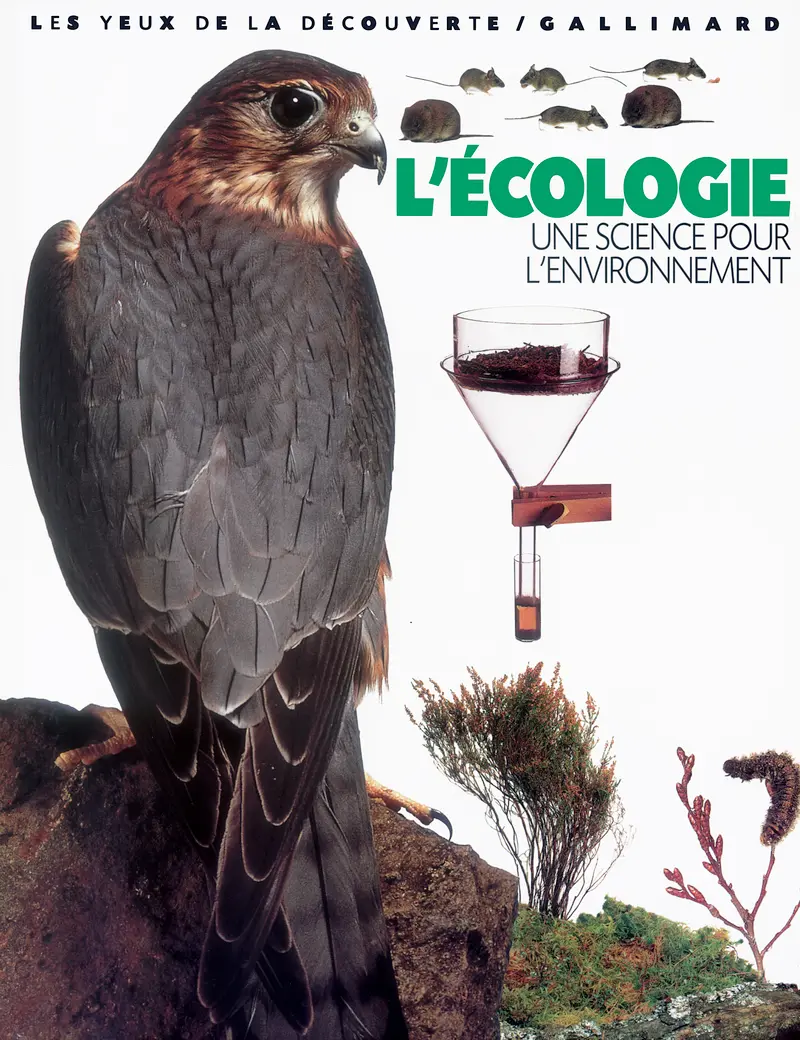 L'écologie - Steve Pollock