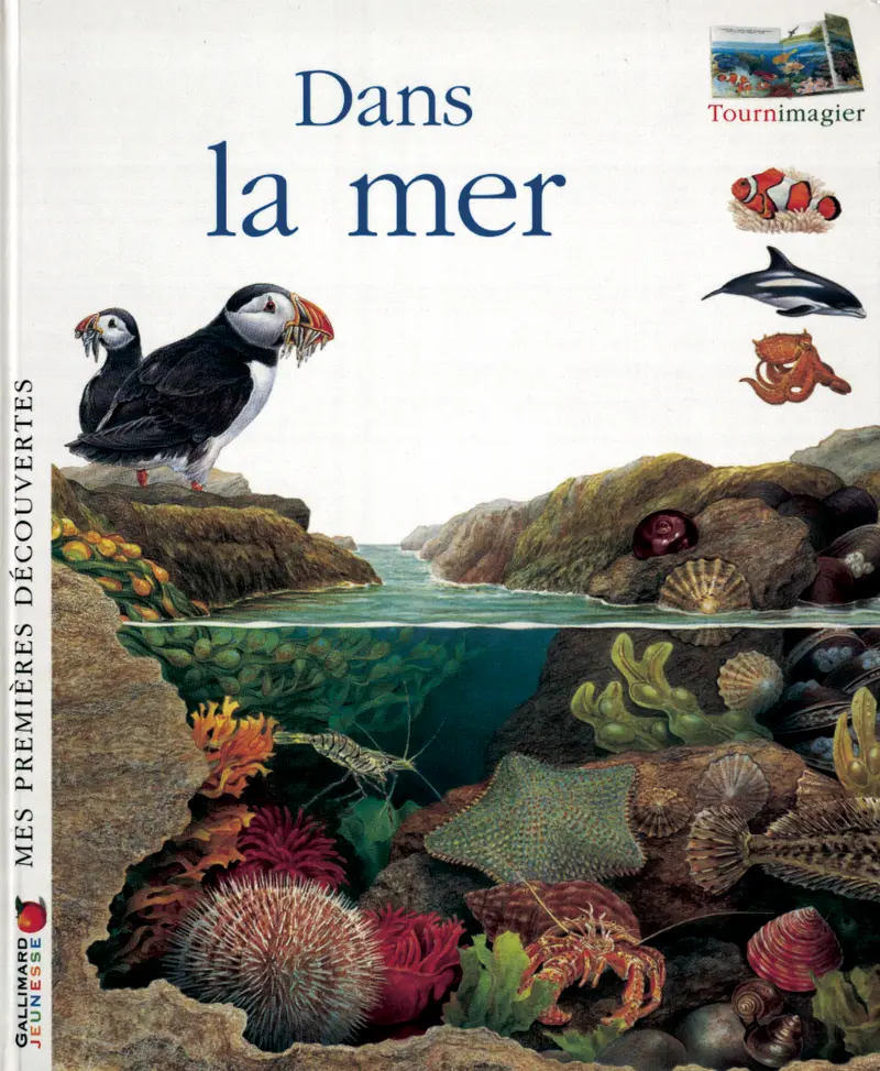 Dans la mer - Collectif