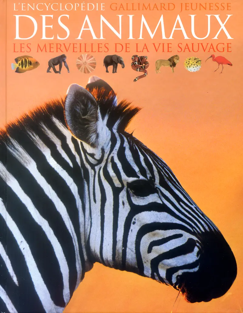 L'encyclopédie des animaux - Collectif