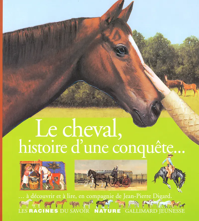 Le cheval, histoire d'une conquête...