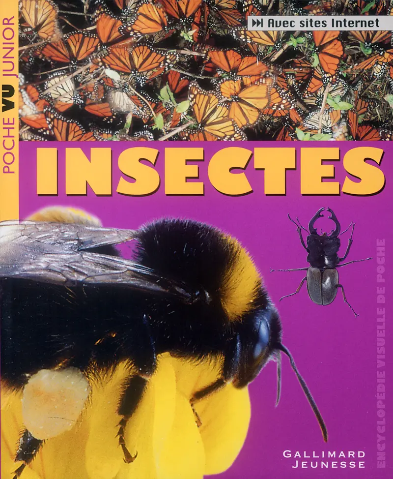 Insectes - Laurence Mound - Steve Brooks
