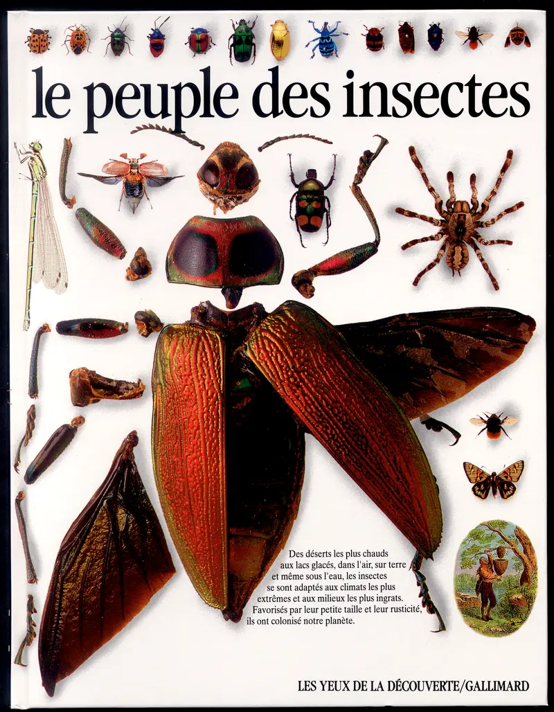 Le peuple des insectes - Laurence Mound