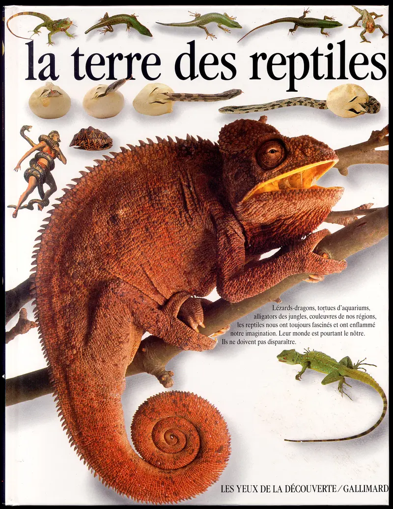La terre des reptiles - Colin McCarthy