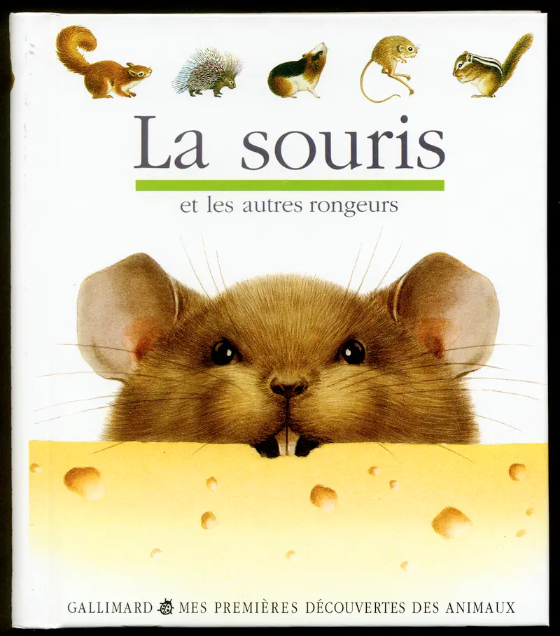 La souris et les autres rongeurs - Collectif