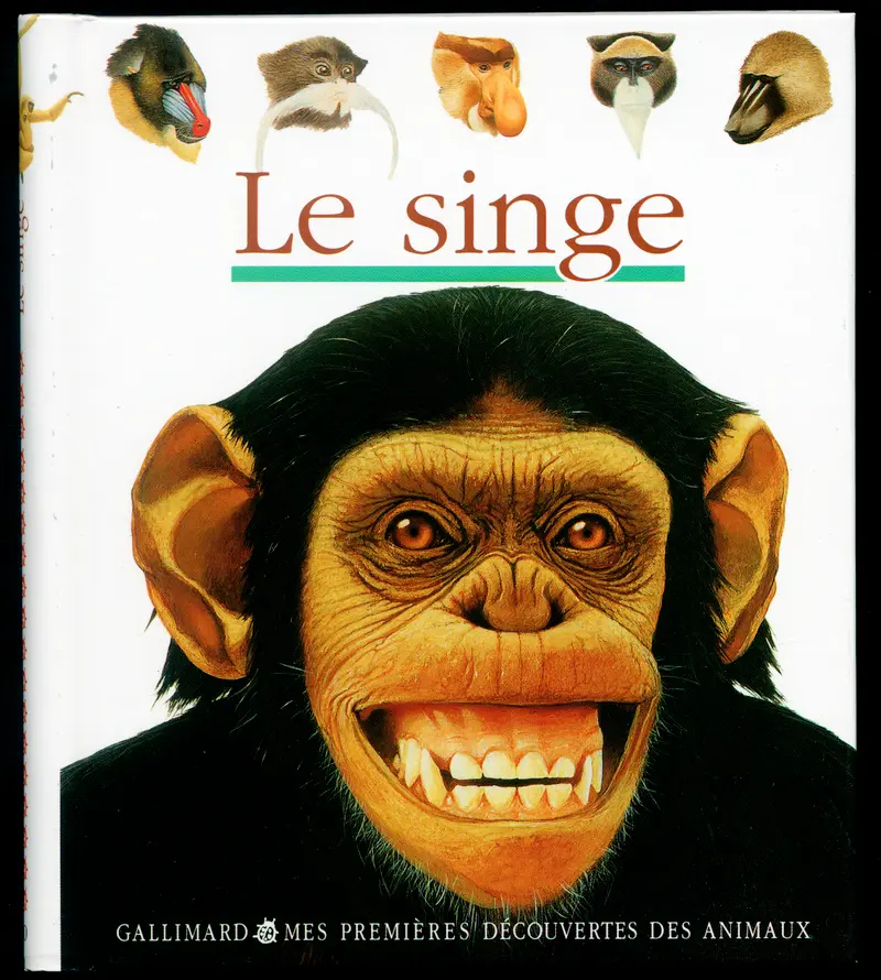Le singe - Collectif