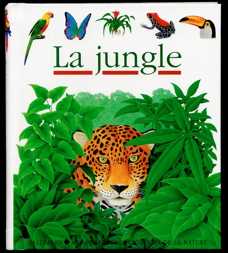 La jungle - Collectif