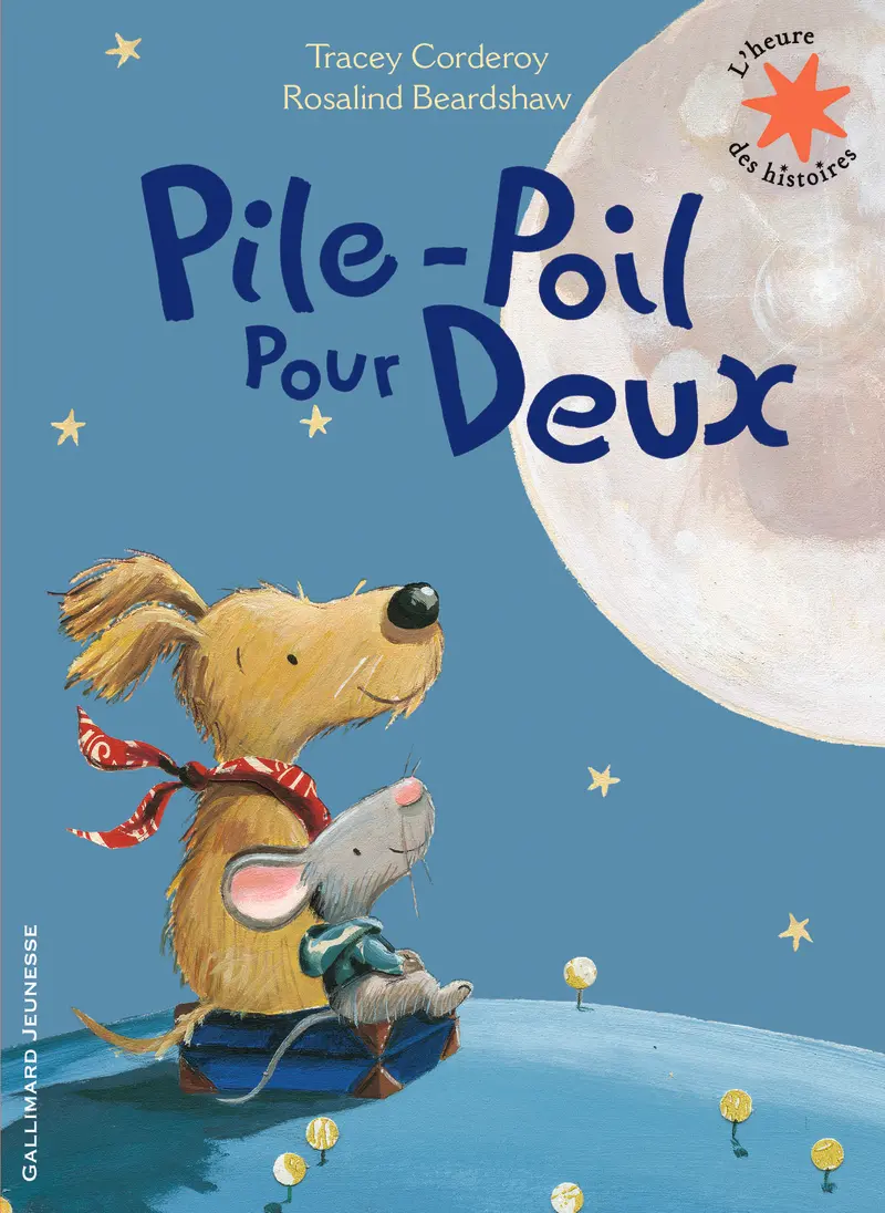 Pile-Poil pour deux - Tracey Corderoy - Rosalind Beardshaw - Rosalind Beardshaw