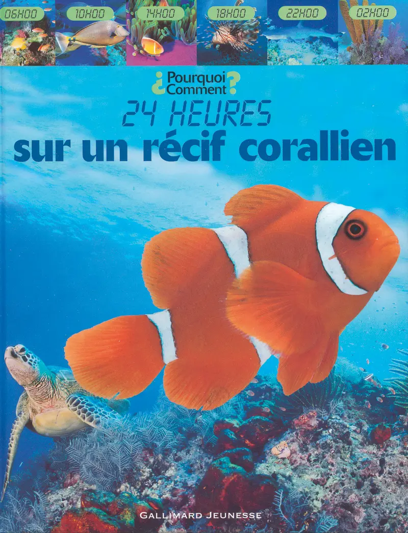 Sur un récif corallien - Caroline Bingham