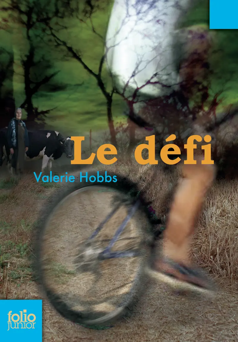 Le défi - Valerie Hobbs