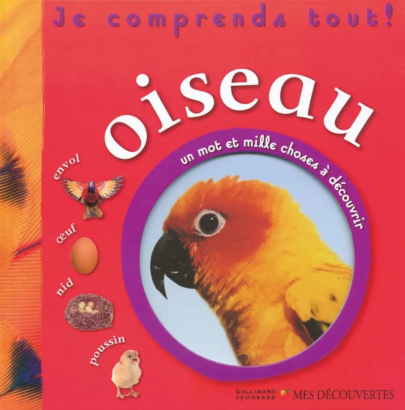 Oiseau - Collectif
