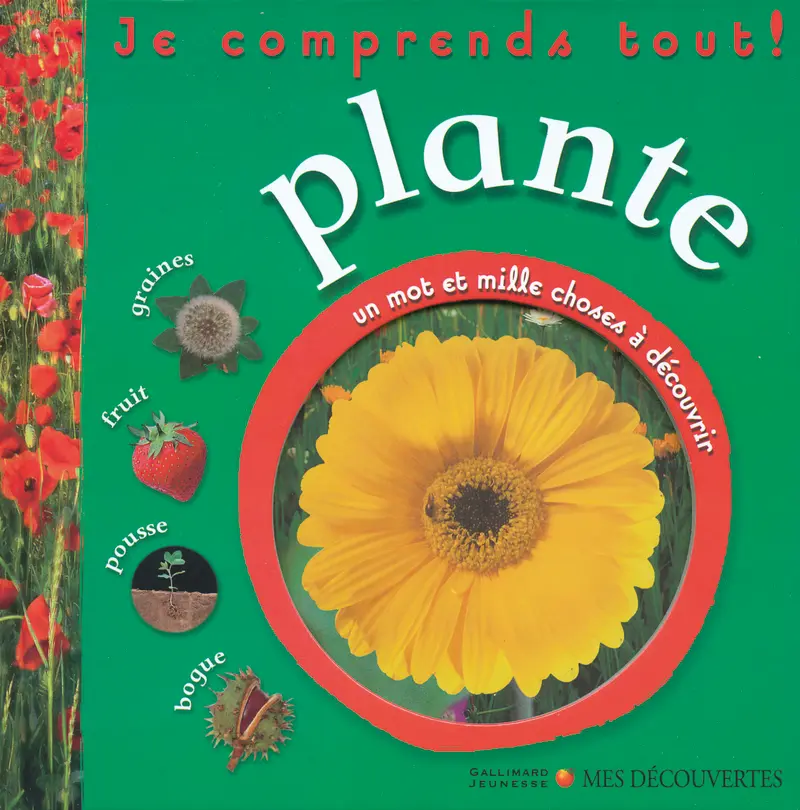 Plante - Collectif