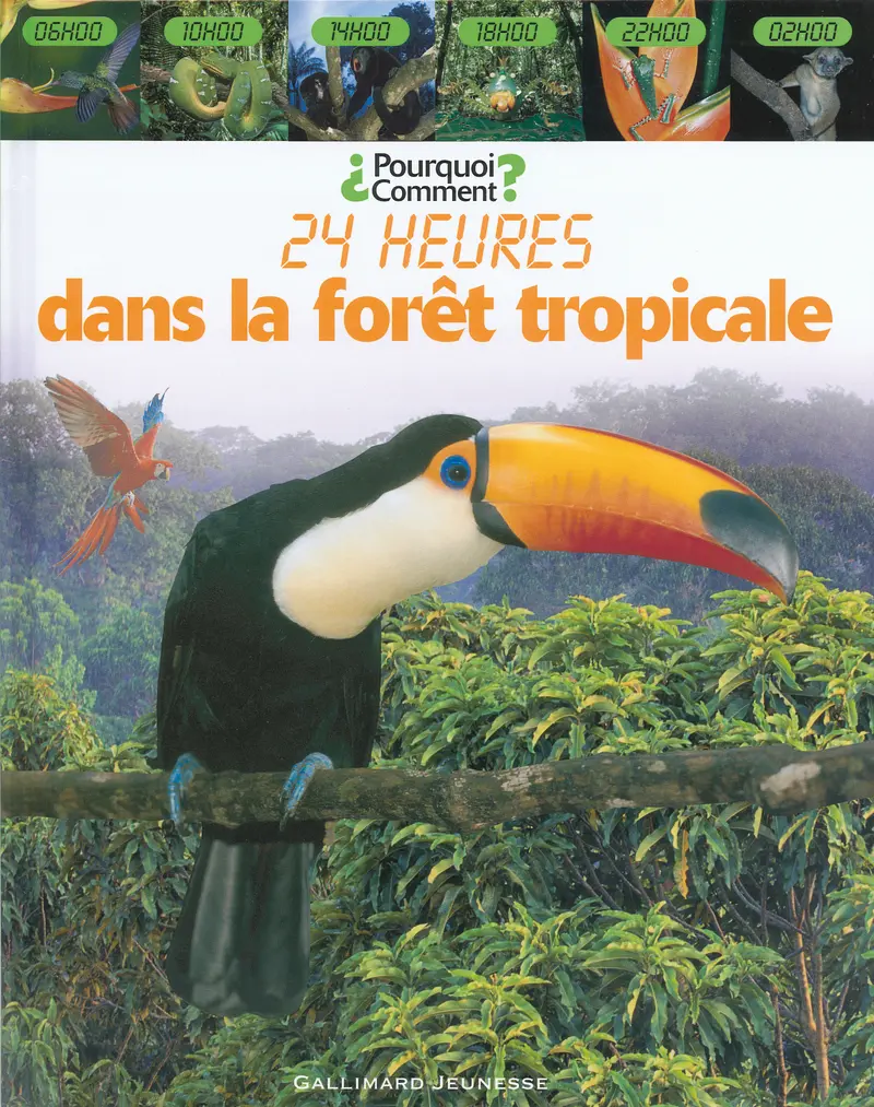 Dans la forêt tropicale - Fleur Stard