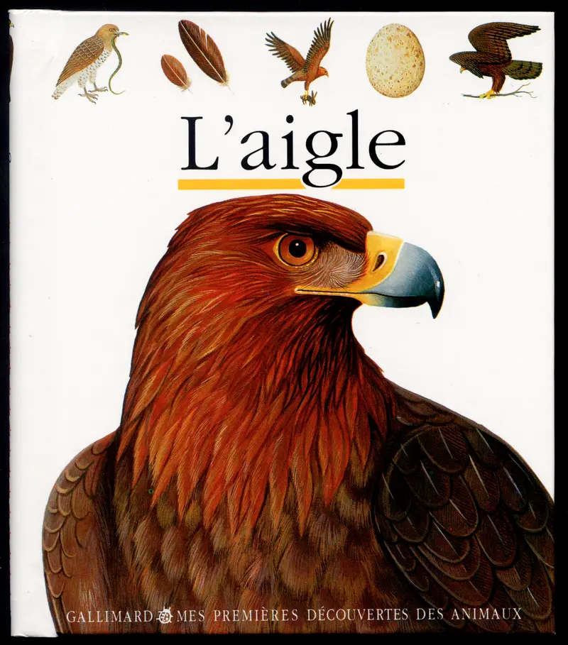 L'aigle - Collectif