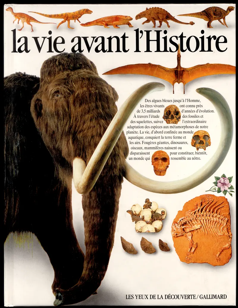 La vie avant l'Histoire - William Lindsay