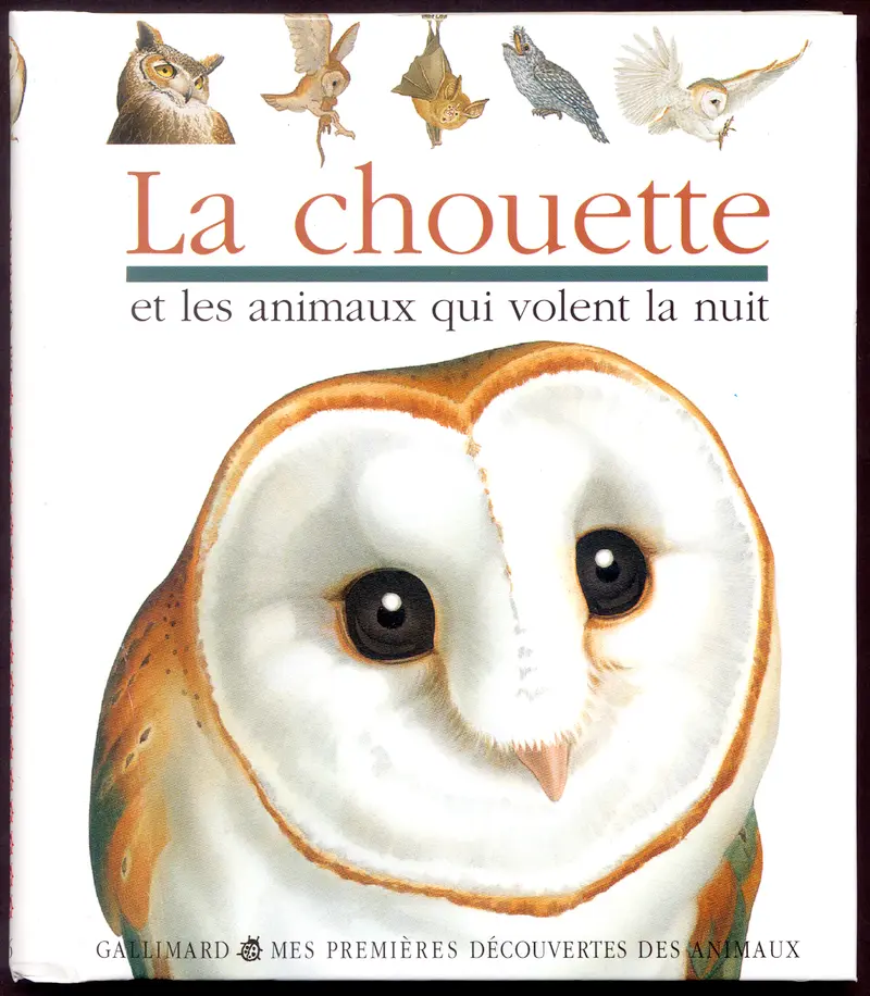 La chouette et les oiseaux qui volent la nuit - Collectif