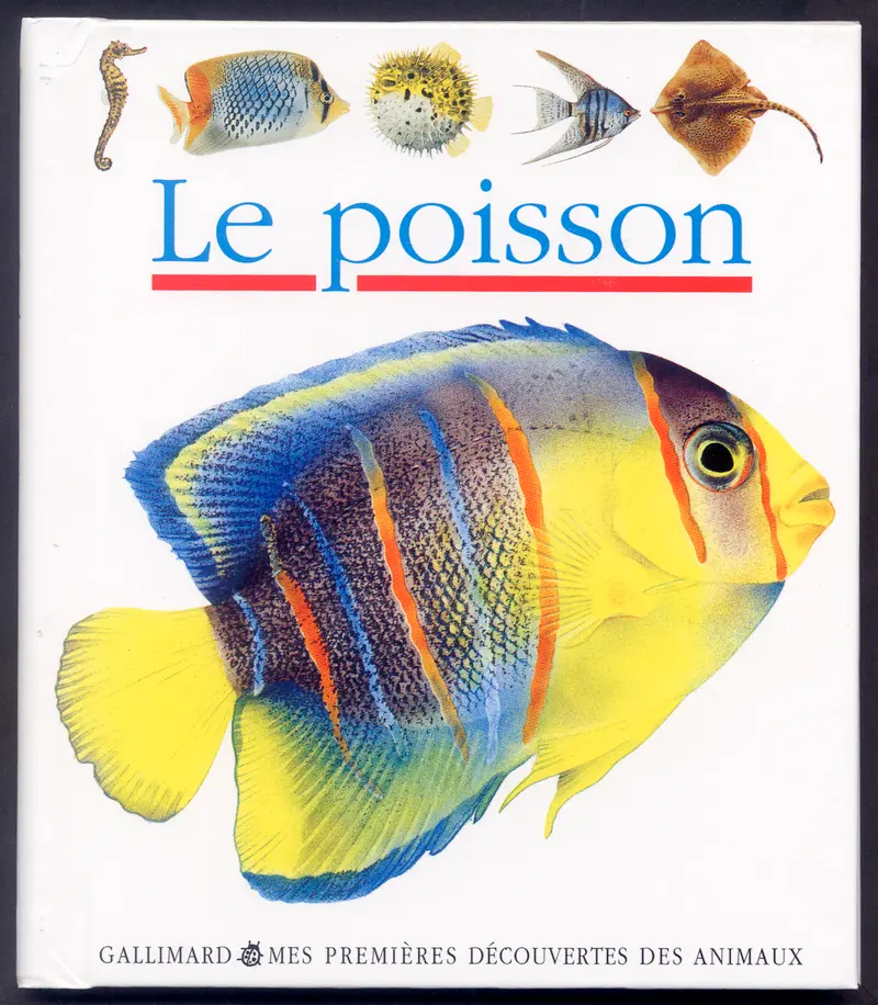 Le poisson - Collectif