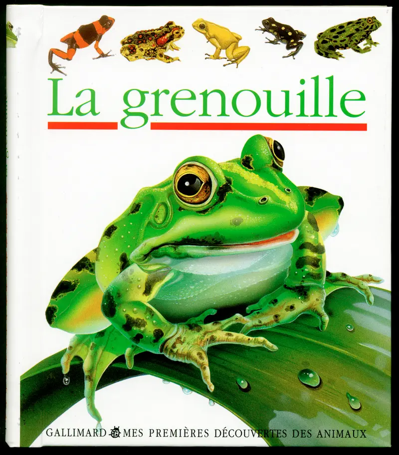 La grenouille - Collectif