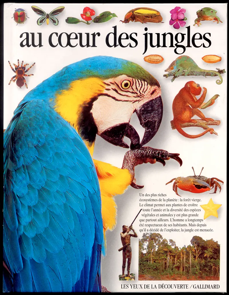 Au cœur des jungles - Theresa Greenaway
