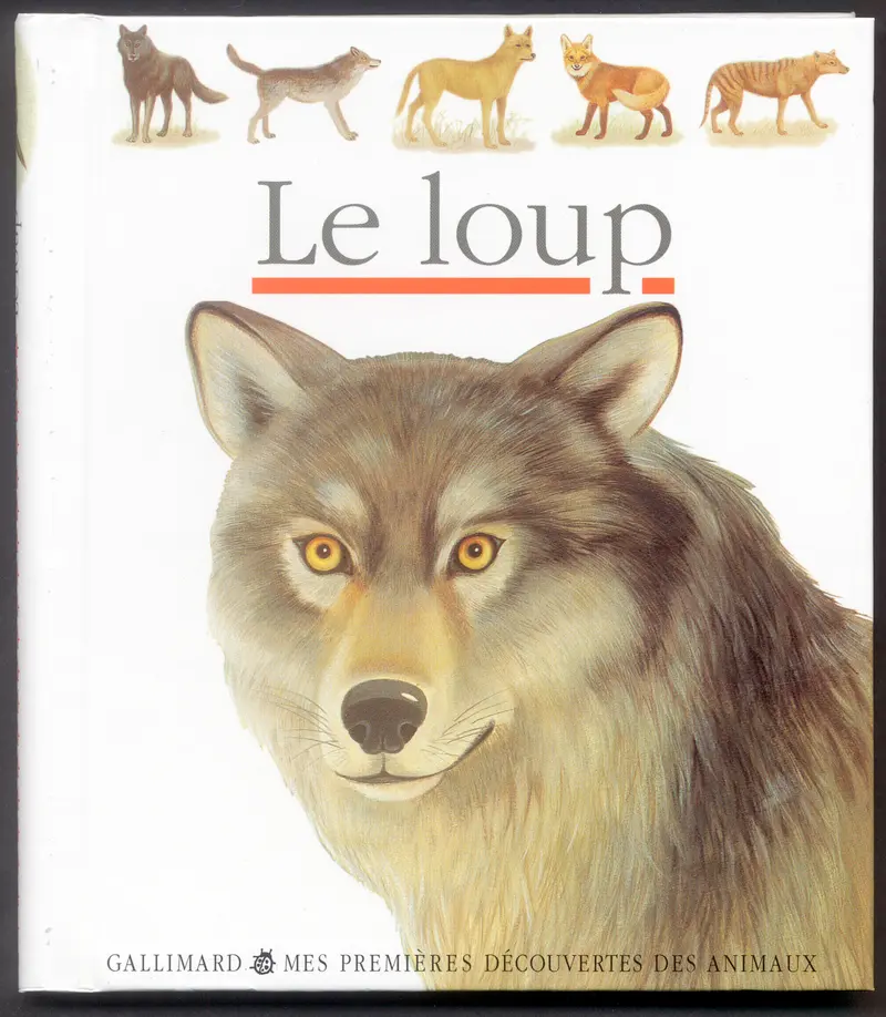 Le loup - Collectif
