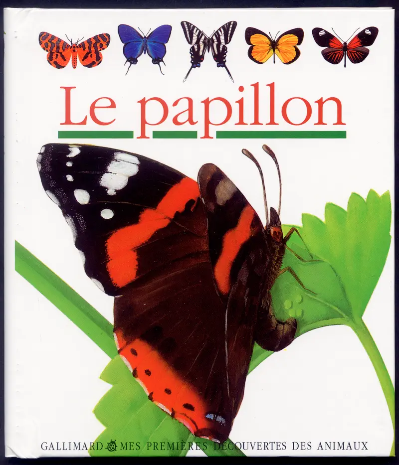 Le papillon - Collectif
