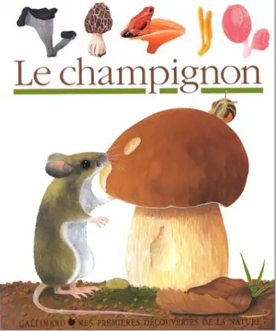 Le champignon - Collectif