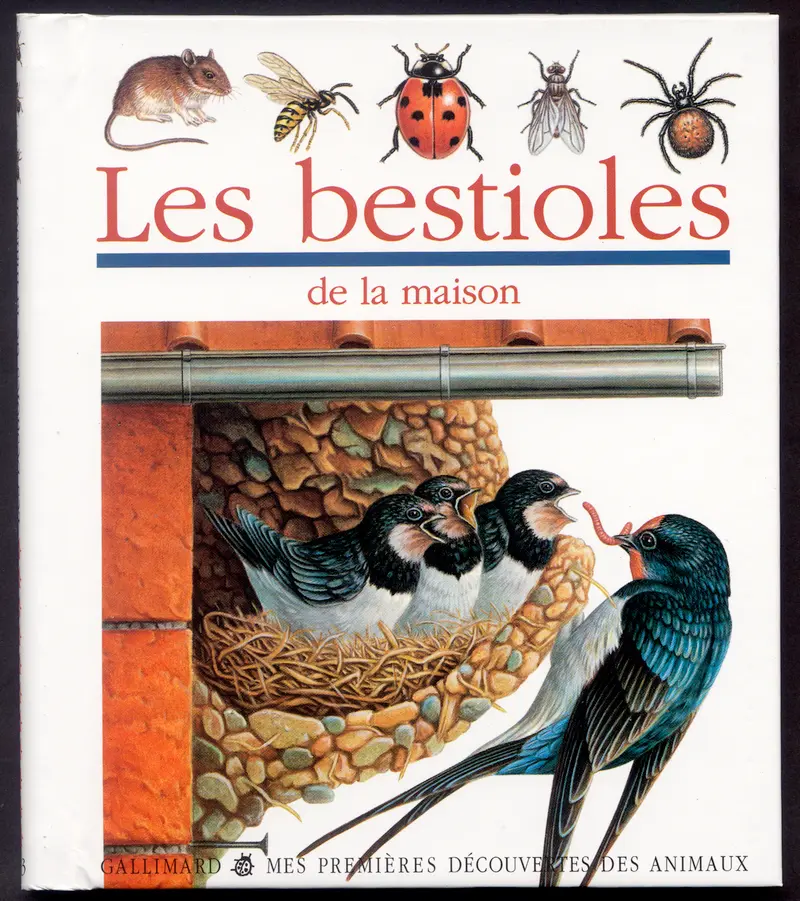 Les bestioles de la maison - Collectif