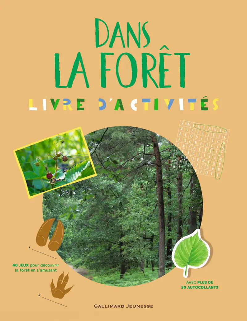 Dans la forêt - Sophie Bordet - Cécile Boyer - Cécile Boyer