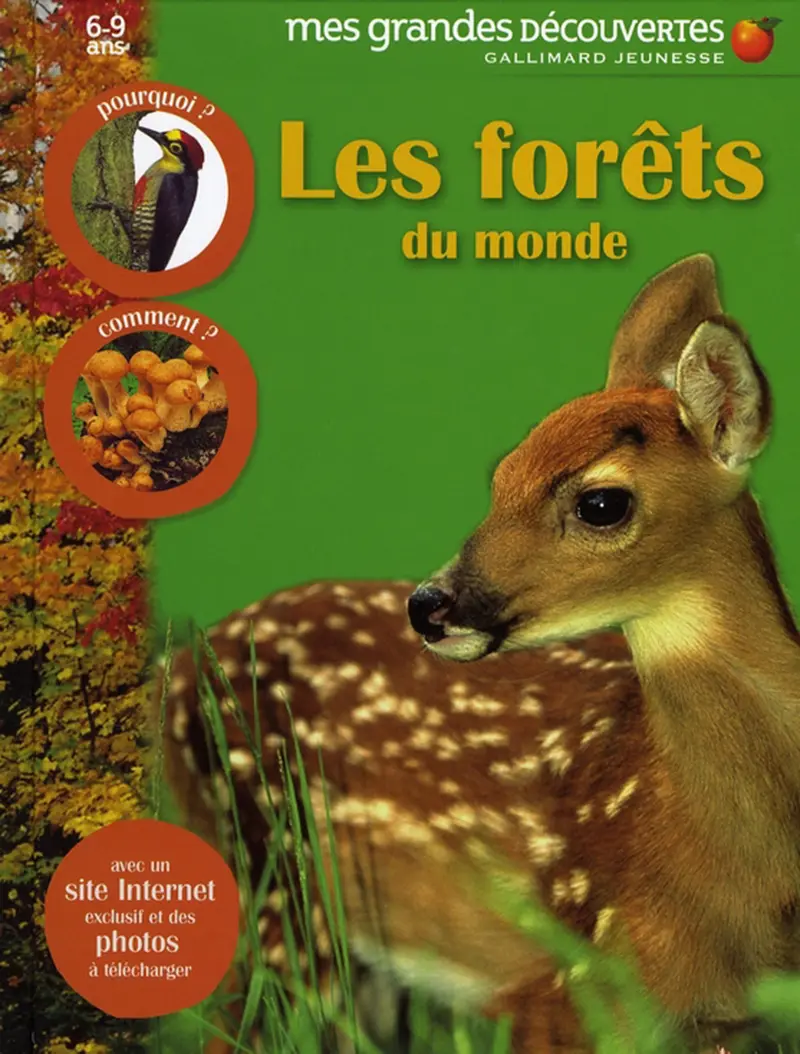 Les forêts du monde - Collectif