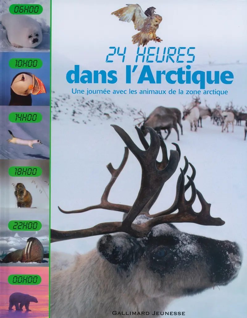 Dans l'Arctique - Lorrie Mack