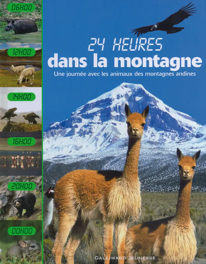 Dans la montagne - Fleur Star