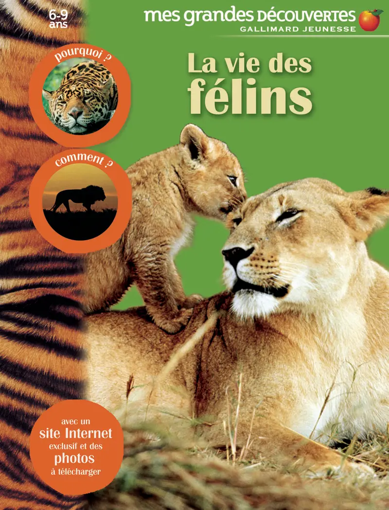 La vie des félins - Collectif