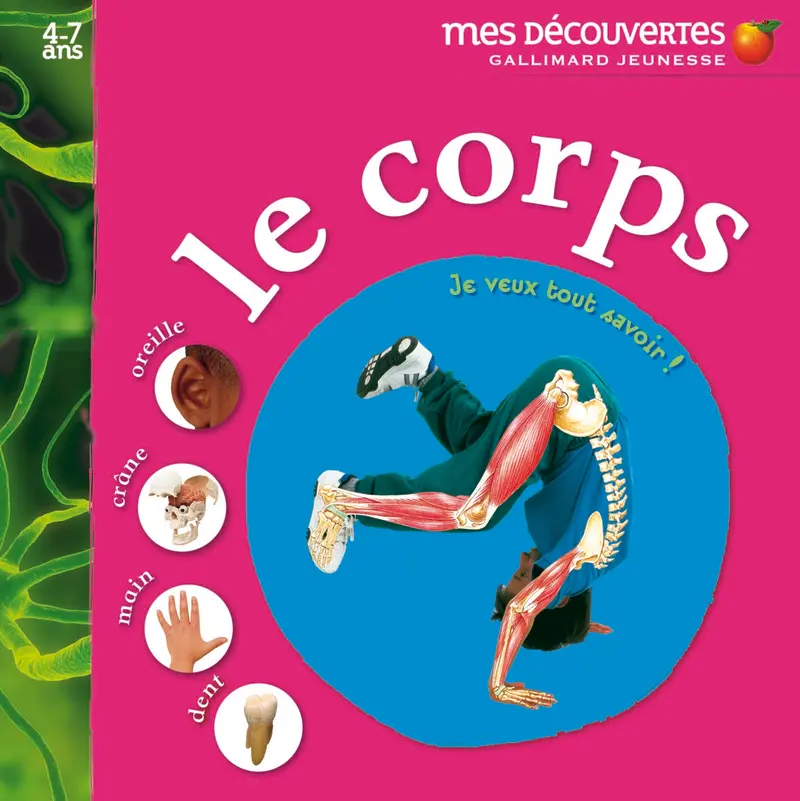 Le corps - Collectif