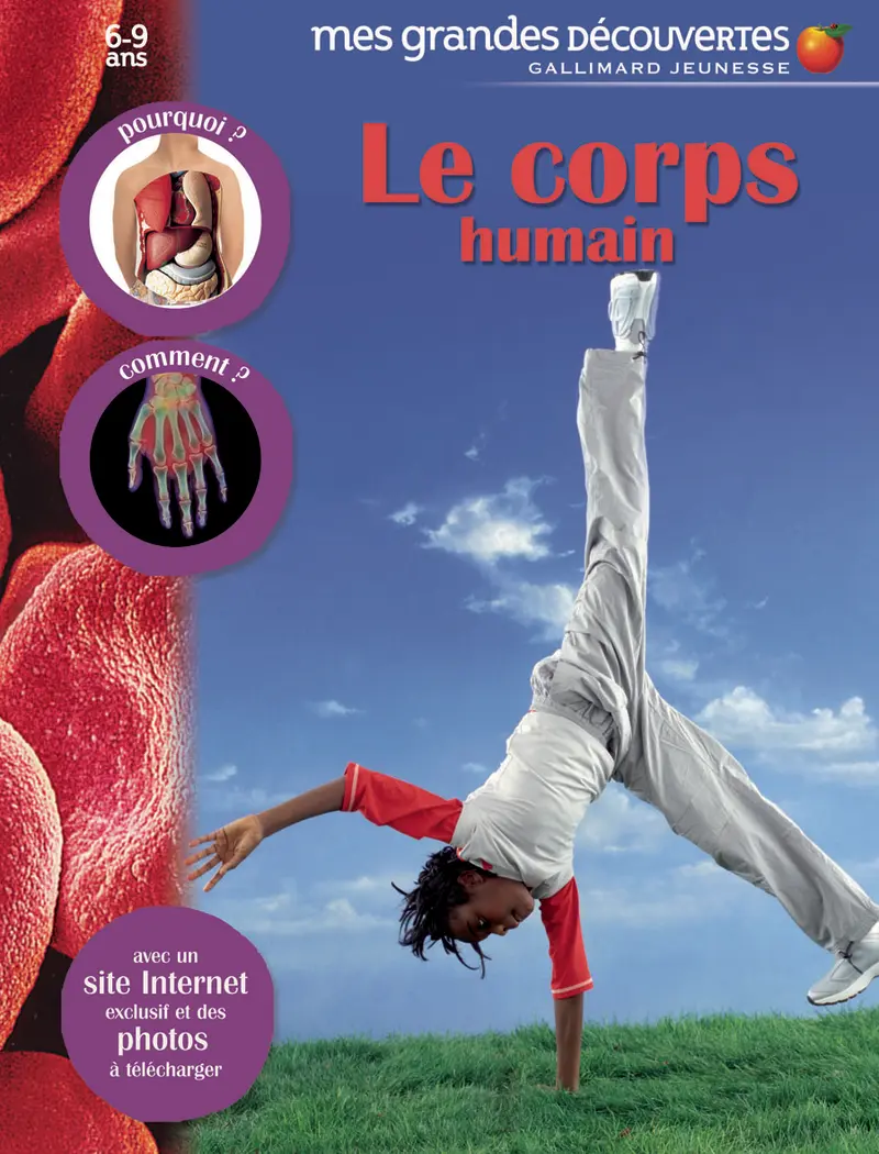 Le corps humain - Collectif