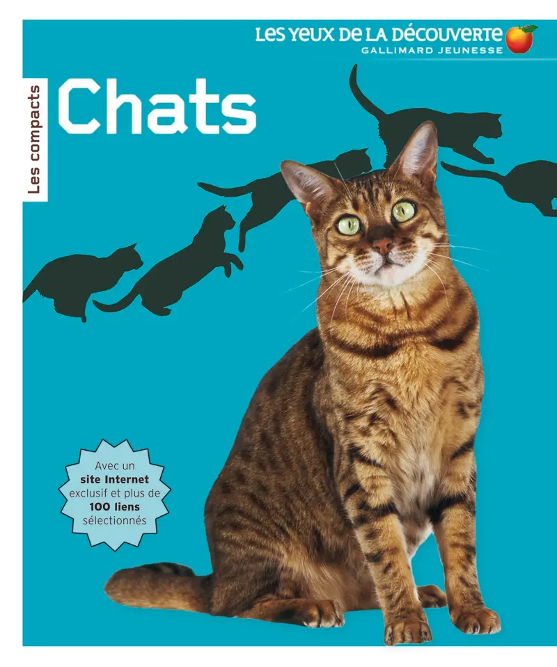 Chats - David Alderton